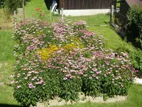 01_08_2020 (1).webp