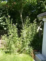 01_08_2020 (65).webp