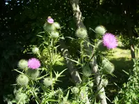 01_08_2020 (62).webp