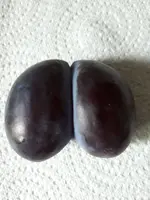 20180926_120446.webp