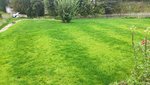 IMG_20200801_200624_copy_2016x1134.jpg