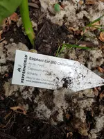 20200802_174937.jpg 20200802_174937.jpg