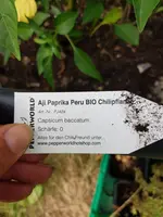 20200802_174904.jpg 20200802_174904.jpg