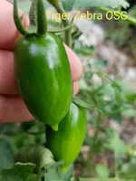 20200802_180524.jpg 20200802_180524.jpg