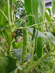 20200802_175346.jpg
