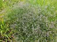 DSCF3985 (2).webp