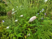 DSCF3987 (2).webp