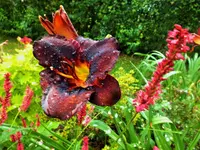 DSCF3989 (2).webp