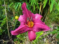 DSCF3993 (2).webp