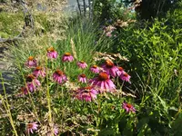 DSCF3980.webp