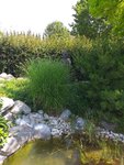 20200801_122316.jpg