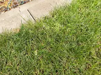 IMG_20200803_123425748_HDR.webp