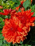 20200801_094956.jpg