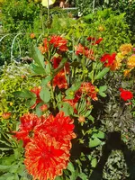20200801_094942.webp