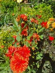 20200801_094942.jpg