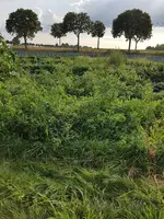 20200803_185243.webp 20200803_185243.webp