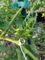 20200803_194725.webp 20200803_194725.webp