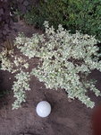 20200803_194847.jpg