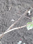 20200803_194837.jpg