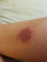 20200803_225231.jpg