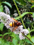 20200804_142004.jpg