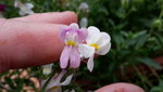 20200804_170351.jpg