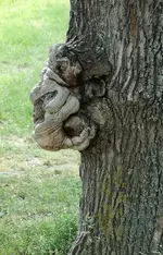 IMG_20200805_131409.webp