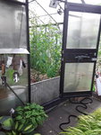 20200805_193558.jpg