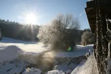 Winter2617.webp