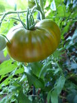 P1010550.JPG