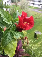 86530E61-6F90-441A-9EA0-9C8F83146601.jpeg
