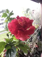 19C46E02-2699-4168-82AB-41492355D742.jpeg