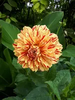 20200804_130901.webp