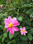 20200804_130958.jpg