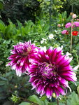 20200804_131007.jpg