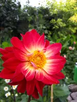 20200804_131019.webp
