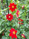 20200804_130739.jpg