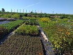 20200806_100711.jpg