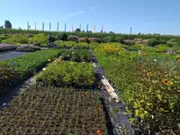 20200806_100711.webp