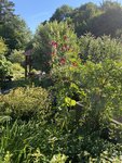 0232D956-CEF9-43E6-9D12-BC05319B320B.jpeg