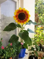 20200807_120445.jpg