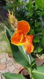 20200807_152135.webp