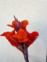 20200731_174618.webp