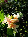 20200731_172930.jpg