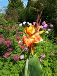 20200805_124417.jpg