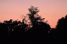 sonnenuntergang.webp