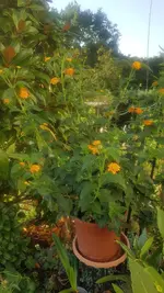 20200808_082056.webp