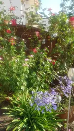 20200808_082103.jpg