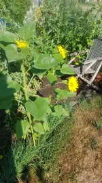 20200808_091325.webp