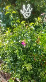 20200808_091421.jpg